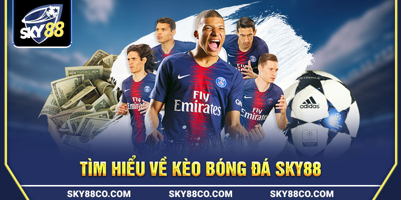 Tìm hiểu về kèo bóng đá Sky88