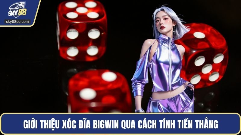Giới thiệu xóc đĩa Bigwin qua cách tính tiền thắng