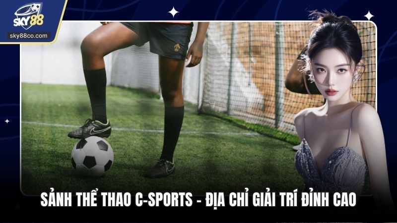 Sảnh Thể Thao C-SPORTS - Địa Chỉ Giải Trí Đỉnh Cao