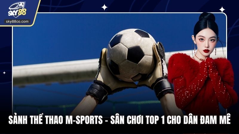 Sảnh Thể Thao M-SPORTS - Sân Chơi Top 1 Cho Dân Đam Mê